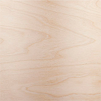 American Birch wood