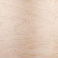 American Birch wood